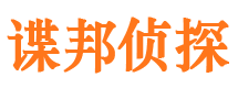 金平市侦探调查公司